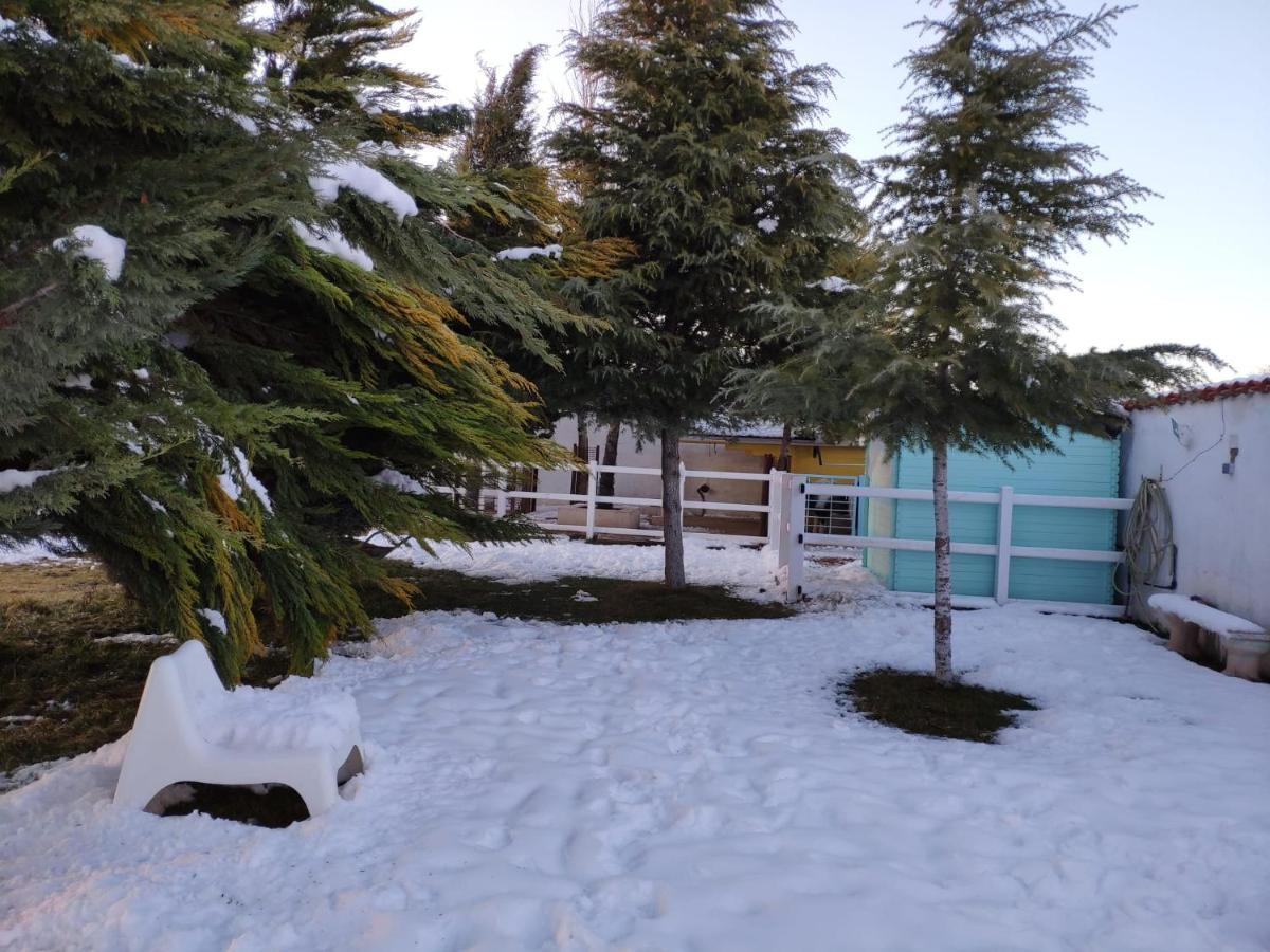 Hearts & Ponies Apartamentos Con Piscinas Privadas Cerca De La Warner Chinchón Exteriér fotografie